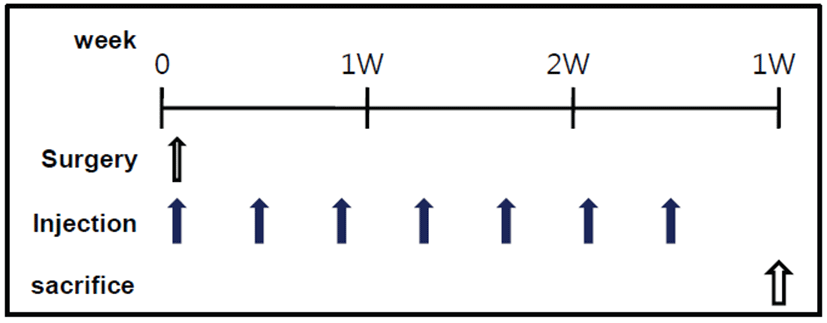 jbtr-15-4-156-g1